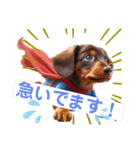 犬のキャラクターの世界（個別スタンプ：20）