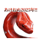 【2025】あけおめ☆ヘビ【祝・新年】（個別スタンプ：3）