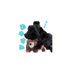 子犬のきなこちゃん（個別スタンプ：2）