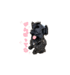 子犬のきなこちゃん（個別スタンプ：6）