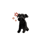 子犬のきなこちゃん（個別スタンプ：21）