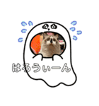 にゃんこのこみゅ8（個別スタンプ：8）