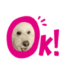 ハッピーくう（個別スタンプ：1）