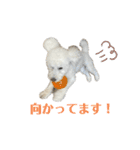 ハッピーくう（個別スタンプ：19）