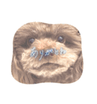 もかすたんぷ実写版（個別スタンプ：1）