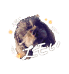もかすたんぷ実写版（個別スタンプ：4）