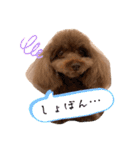もかすたんぷ実写版（個別スタンプ：7）