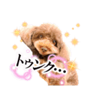 もかすたんぷ実写版（個別スタンプ：14）