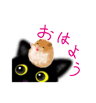 【動く】子猫くろねこハムスター（個別スタンプ：1）