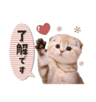 可愛い♡子猫いっぱいスタンプ（個別スタンプ：2）