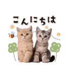 可愛い♡子猫いっぱいスタンプ（個別スタンプ：12）