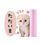 可愛い♡子猫いっぱいスタンプ（個別スタンプ：13）