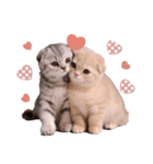可愛い♡子猫いっぱいスタンプ（個別スタンプ：19）