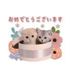 可愛い♡子猫いっぱいスタンプ（個別スタンプ：34）