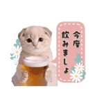 可愛い♡子猫いっぱいスタンプ（個別スタンプ：35）