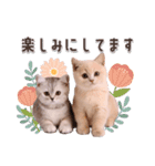 可愛い♡子猫いっぱいスタンプ（個別スタンプ：36）