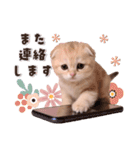 可愛い♡子猫いっぱいスタンプ（個別スタンプ：39）