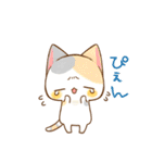 ねこのかんづめ -6-（個別スタンプ：12）