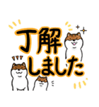 デカ文字！敬語•丁寧語と柴犬たち（個別スタンプ：10）