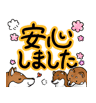 デカ文字！敬語•丁寧語と柴犬たち（個別スタンプ：19）