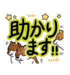 デカ文字！敬語•丁寧語と柴犬たち（個別スタンプ：20）