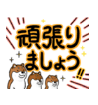 デカ文字！敬語•丁寧語と柴犬たち（個別スタンプ：21）