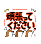 デカ文字！敬語•丁寧語と柴犬たち（個別スタンプ：22）