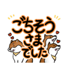 デカ文字！敬語•丁寧語と柴犬たち（個別スタンプ：27）