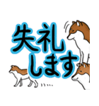 デカ文字！敬語•丁寧語と柴犬たち（個別スタンプ：28）