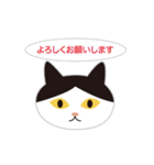 ねこ顔だらけの敬語スタンプ（個別スタンプ：2）