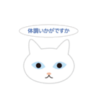 ねこ顔だらけの敬語スタンプ（個別スタンプ：5）