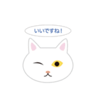 ねこ顔だらけの敬語スタンプ（個別スタンプ：18）