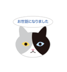 ねこ顔だらけの敬語スタンプ（個別スタンプ：25）