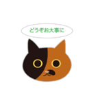 ねこ顔だらけの敬語スタンプ（個別スタンプ：27）