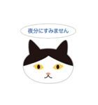 ねこ顔だらけの敬語スタンプ（個別スタンプ：34）