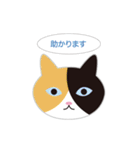 ねこ顔だらけの敬語スタンプ（個別スタンプ：37）