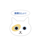 ねこ顔だらけの敬語スタンプ（個別スタンプ：39）