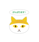 ねこ顔だらけの敬語スタンプ（個別スタンプ：40）