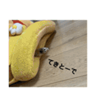 ぱん公実写（個別スタンプ：10）