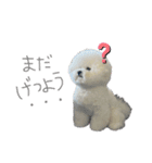 ノエルさん③（個別スタンプ：1）