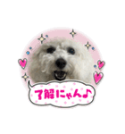 ノエルさん③（個別スタンプ：16）