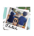⭐颯星＆碧星2024（個別スタンプ：14）