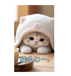スコティッシュ猫 思いやりBIG 関西弁ver.（個別スタンプ：4）