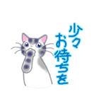 和風猫＜よく使う敬語 4＞（個別スタンプ：9）