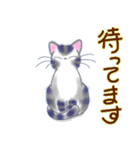 和風猫＜よく使う敬語 4＞（個別スタンプ：11）