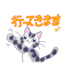 和風猫＜よく使う敬語 4＞（個別スタンプ：19）