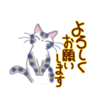 和風猫＜よく使う敬語 4＞（個別スタンプ：36）