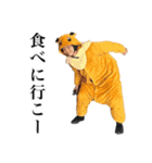 まきぐその日常会話（個別スタンプ：18）