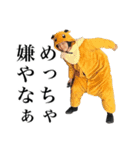 まきぐその日常会話（個別スタンプ：19）