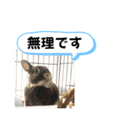 会話にピッタリ！げんまいLINEスタンプ（個別スタンプ：2）